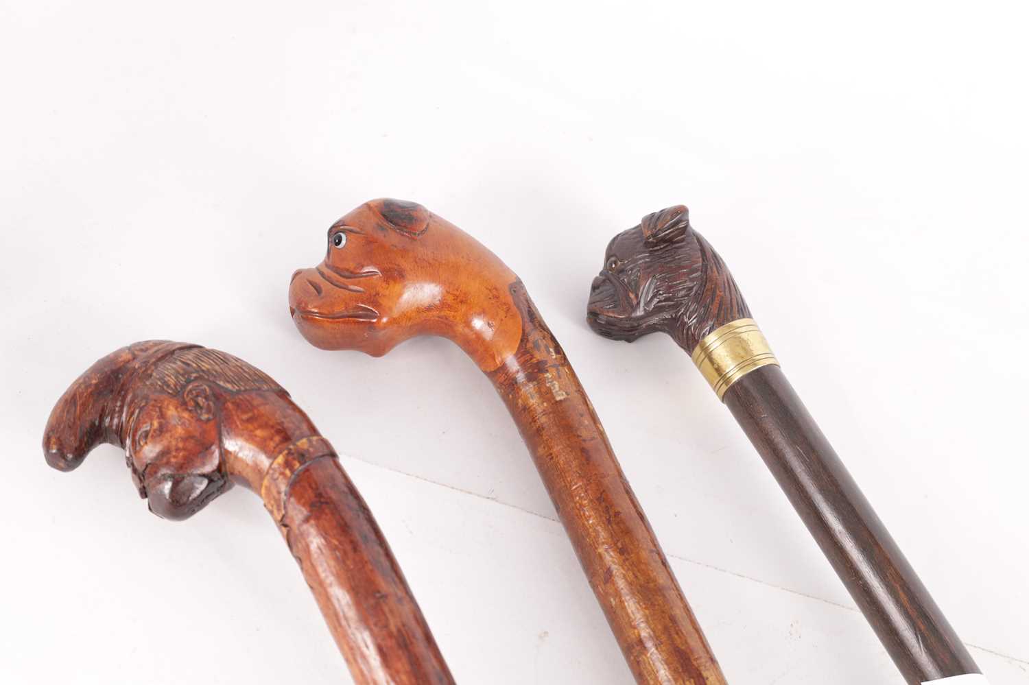 A GROUP OF THREE 19TH CENTURY WALKING STICKS - Image 2 of 12