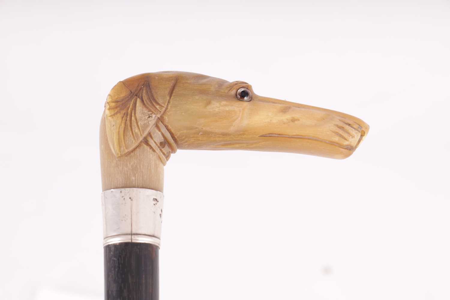 THREE 19TH CENTURY ANIMAL HEAD WALKING STICKS - Image 6 of 10