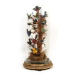 A LARGE 19TH CENTURY CASED TAXIDERMY SET OF EXOTIC SINGING BIRDS
