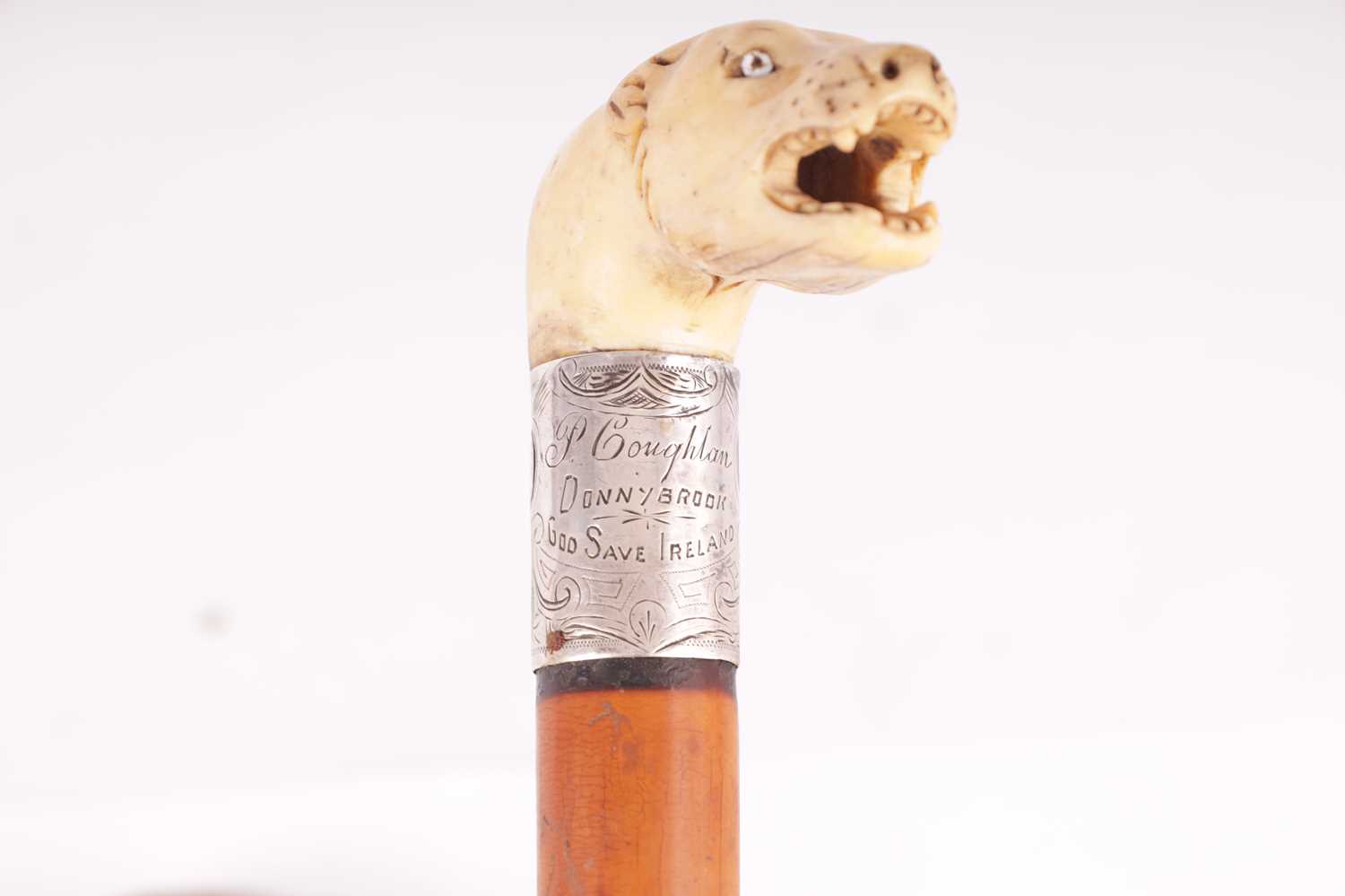 THREE 19TH CENTURY ANIMAL HEAD WALKING STICKS - Image 3 of 10