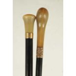 TWO 19TH CENTURY RHINOCEROS HORN EBONISED WALKING STICKS