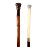 TWO LATE 19TH CENTURY SWORD STICKS