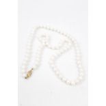 Ladies Cultured pearl necklace on 14ct Gold Clasp 56cm in Length