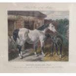 Set of 3 Engravings by J Harris & C Quentery after J F Herring Senior, entitled 'Hunting Mare and