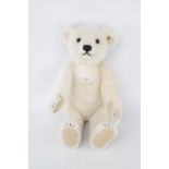 Steiff White Bear 1922 35cm boxed with COA