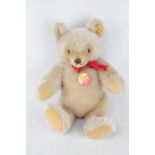 Steiff Original Teddy Bear with Tag