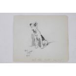 Cecil Aldin (1870 - 1935) RA; Pencil Sketch of a Terrier signed in Pencil 192417 x 14cm