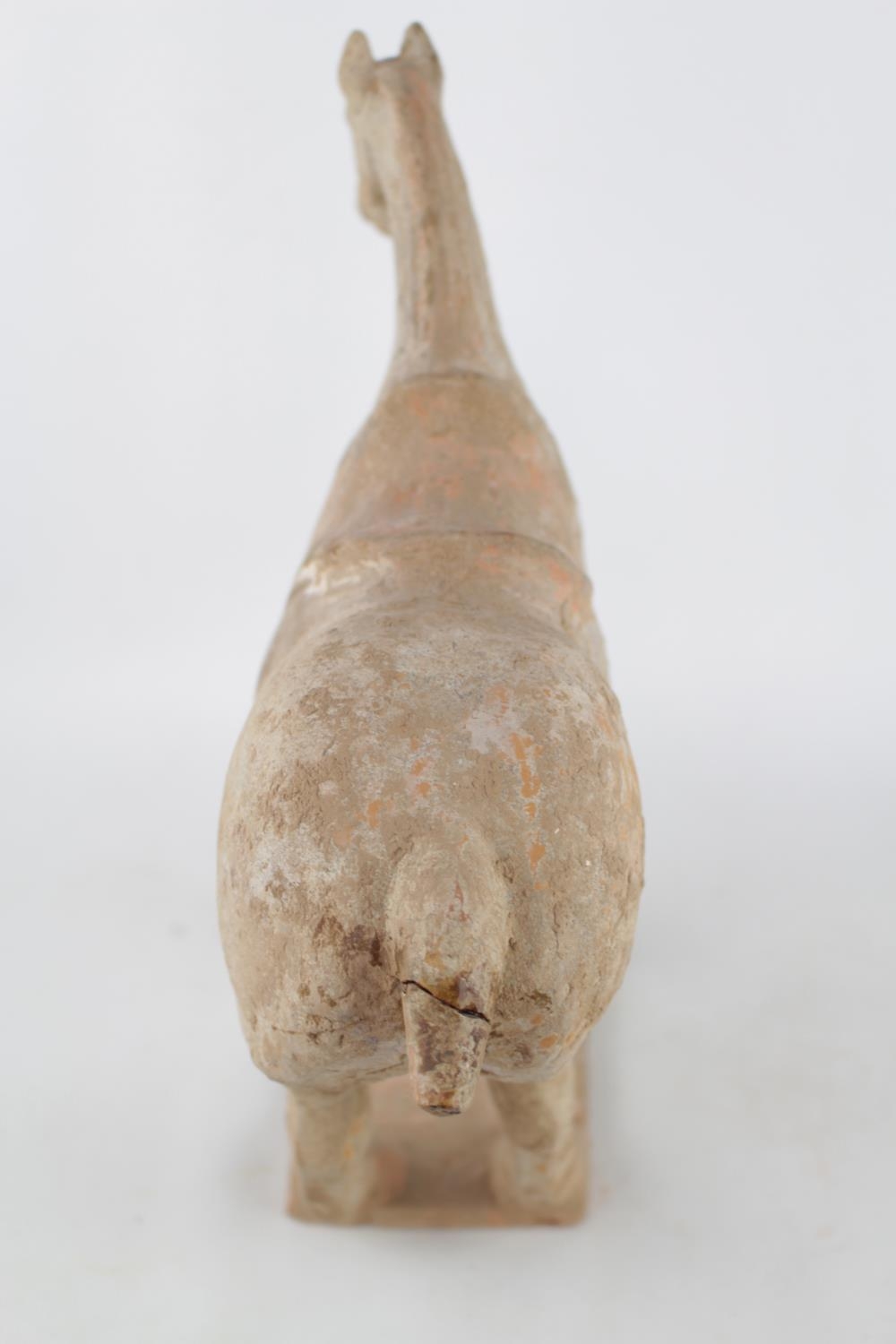 Antique Chinese Terracotta pottery funerary Tang horse on rectangular base 30cm in Height - Image 3 of 4