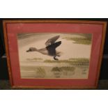 Richard Barrett Talbot Kelly MBE RI 1896 - 1971; Ink and Watercolour of a Mallard Duck in Flight. 28