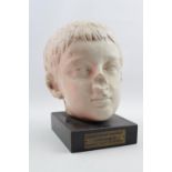 Plaster Sculpture 'Young Roman 225AD' BY Permission of the Birmingham Museum and Art Gallery mounted