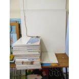 Various blank artists canvases mixed sizes