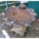 A shell bird bath