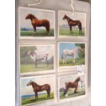 Six part sets of large cigarette cards including horses