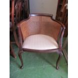 A mahogany cane back chair