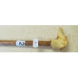 A dogs head cane handle with replacement cane