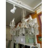 An eight branch glass chandelier (one arm a/f)