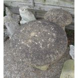 Two concrete mushroom stones