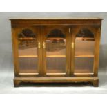 An Edwardian Mahogany Bookcase with two Bar Glazed Doors enclosing glass shelves, raised upon