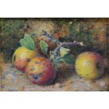 William B. Hough Study of Three Apples, watercolour, signed, 13 x 18 cms