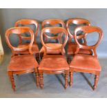 A Set of Six Victorian Mahogany Balloon Back Dining Chairs each with a drop in seat raised upon