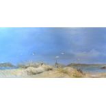 John Hamilton 'Sand Dunes and Seagulls, A Coastal View' oil on board, signed, 29 x 59 cms