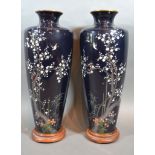 A Pair of Japanese Cloisonné Vases each decorated with birds amongst foliage upon a dark blue ground