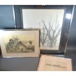 William Wilkins Pencil Drawing of Trees, 60 x 53 cms together with two others by the same artist