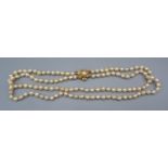 A cultured pearl double row necklace with 14ct gold clasp, 60cms long