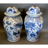 A Pair of Chinese Large Covered Vases decorated in underglaze blue with carp amongst foliage 55