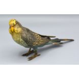 A Late 19th/Early 20th Century Cold Painted Bronze Model in the form of a Budgerigar possibly