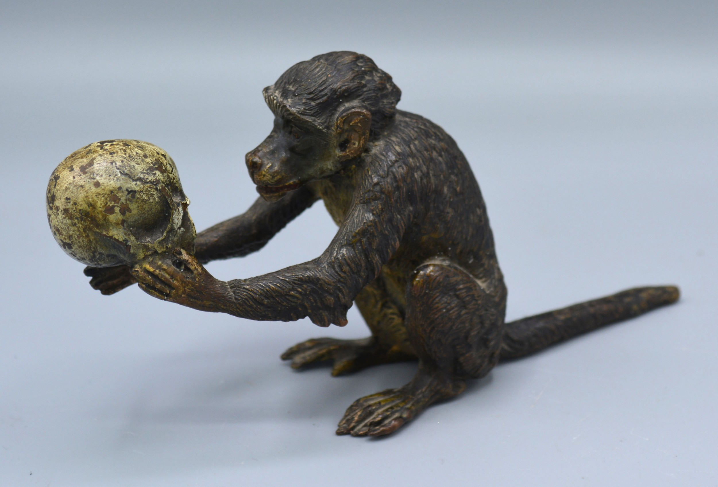 A Late 19th/Early 20th Century Patinated Bronze Model in the form of a Monkey holding a Skull, 14