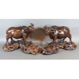 A Pair of Chinese Carved Hardwood Models in the form of Buffalo upon shaped carved bases, 28 cms