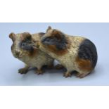 A Late 19th Century/Early 20th Century Cold Painted Bronze Group in the form of two Guinea Pigs