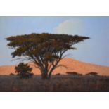 Malachi Smith 'African Landscape with a Tree' oil on board, signed 37 x 48 cms