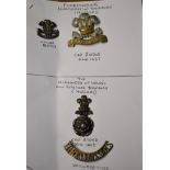 Pembrokeshire and Alexandra of Wales's Own Yorkshire Yeomanry (Hussars) Cap Badges with a Collar