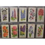 Cigarette Cards - Gardening, Flowers and shrubs. A collection in an album in plastics. (100's)