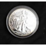 USA 2011 Silver Proof Dollar, encased