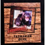 Australia 2013 Tasmanian Devil 1oz Silver Proof, boxed with certificate