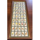 Players Cigarettes 1935 Aviary & Cage birds reprint set of 50, framed. Buyer collects