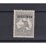 Australia 1924 £1 Grey over print "Specimen" fine mounted mint, SG 75s