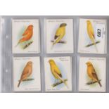 John Player & Sons Aviary & Cage Birds 1935 set L 25/25 VG