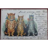 Postcard Louis Wain, Tucks write away series, chromo, used 1902.