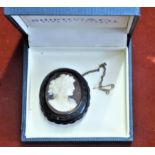 An Edwardian Cameo Brooch of a Grecian Goddess set in Jet, beautiful quality with small brass clip