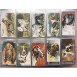 Cigarette and Trade Cards Spratts Patent Ltd, 1910 prize dogs set of 12, multi backed. Excellent