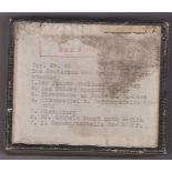 German 1938 box of Glass slides (5 out of 7 slides in total) Series No. 45 by Dr Franz Stoedtner