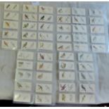 Godfrey Phillips Ltd Bird Painting 1938 set 50/50 VG