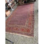 CAUCASIAN RUG, blue cone field multi bordered rug, 68" width 135" length