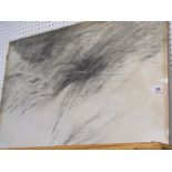 A MILLER, signed drawing dated 1977 "Seagrass", 21" x 30"