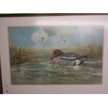 M. YULE, signed watercolour dated 1974, "Teal Mallard, Pintail", 18" x 28"