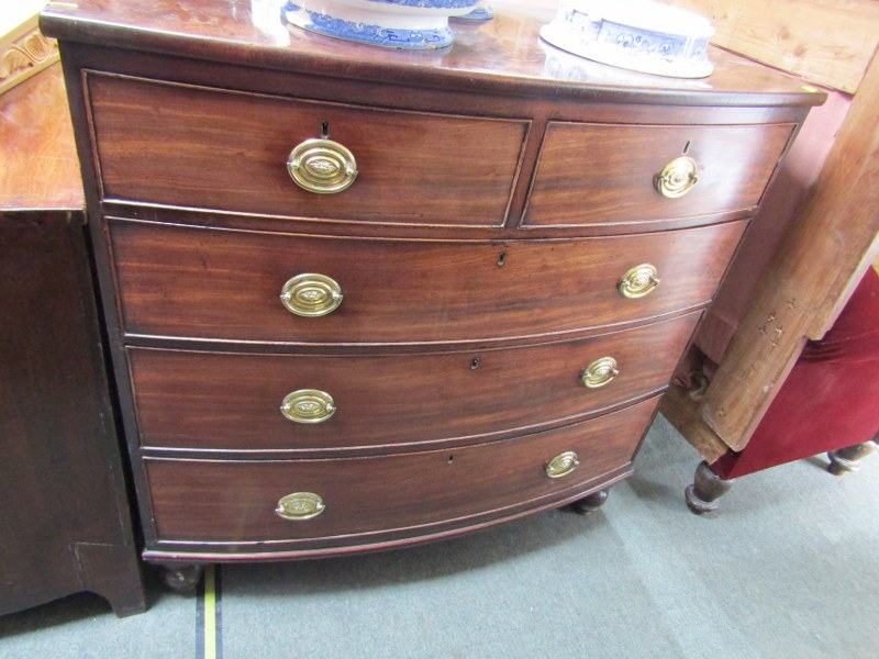 EARLY 19th CENTURY BOW FRONTED CHEST, 2 short 3 long graduated drawers with stamped oval brass